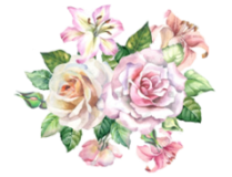 розовые светлые  (120) (209x160, 60Kb)